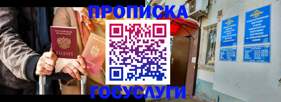 прописка гарантия в Бабаево